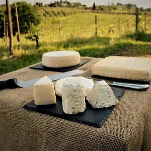 Fattoria Le Caprine Bed & Breakfast Gambassi Terme